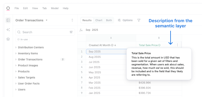 BI semantic layer field descriptions